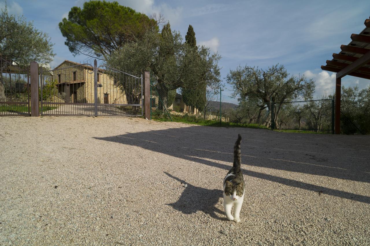 Antico Casale Tiravento Aparthotel Passignano sul Trasimeno Ngoại thất bức ảnh